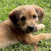 Youpi, un bébé génial #6