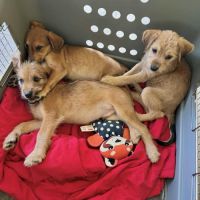 Youpi, un bébé génial #7