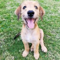 Youpi, un bébé génial