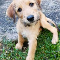 Youpi, un bébé génial #9