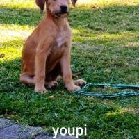 Youpi, un bébé génial #10