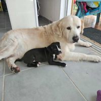 Bria, le rayon de soleil #3