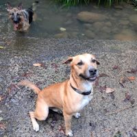 Aïko la douceur des îles #4