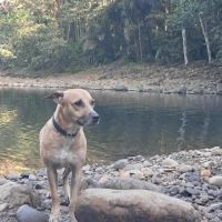 Aïko la douceur des îles #5