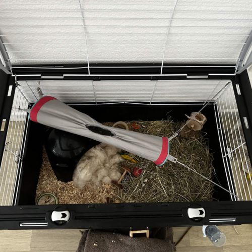 Annonce – don / placement avec participation #4