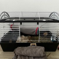 Annonce – don / placement avec participation #3