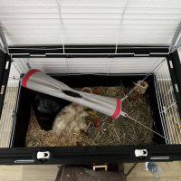 Annonce – don / placement avec participation #4