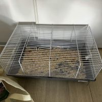 Annonce – don / placement avec participation #6