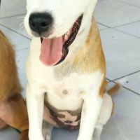 Super nova la petite étoile #6