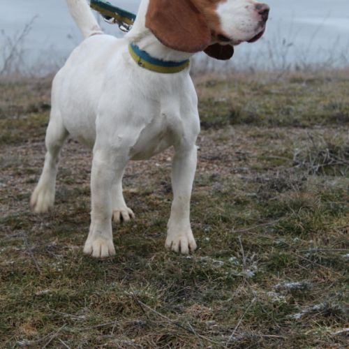 Sanah se trouve dans un refuge en ukraine #0