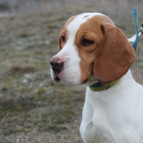 Sanah se trouve dans un refuge en ukraine #4