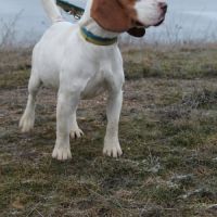 Sanah se trouve dans un refuge en ukraine