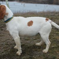 Sanah se trouve dans un refuge en ukraine #2