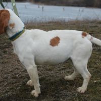 Sanah se trouve dans un refuge en ukraine #3