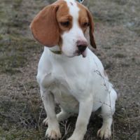 Sanah se trouve dans un refuge en ukraine #5