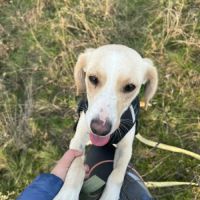 Ariel se  trouve dans un refuge en ukraine