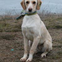 Ariel se  trouve dans un refuge en ukraine #3