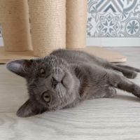 Smokie adorable chipie #3