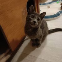 Smokie adorable chipie #4