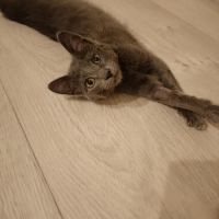 Smokie adorable chipie #7