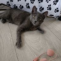 Smokie adorable chipie #8