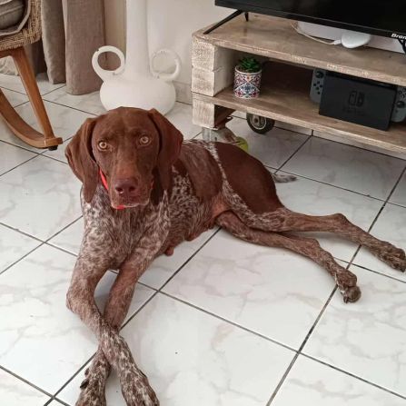 Kiara, je suis très sage