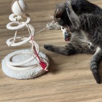 Loulou-chaton dynamique ! #7