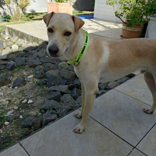 Budy le magnifique #2