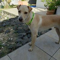 Budy le magnifique #2