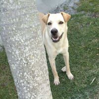 Budy le magnifique #3