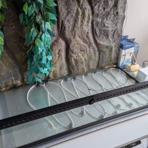 Serpent + terrarium #3