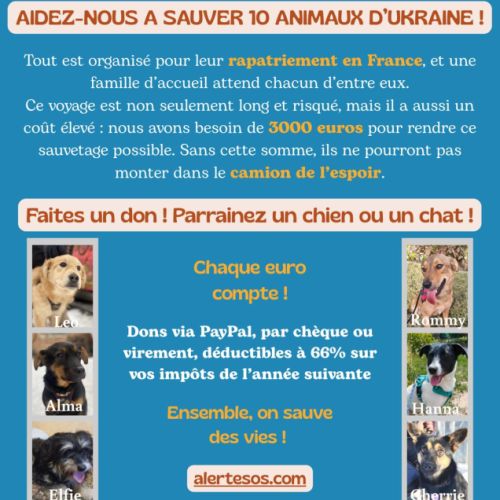 Besoins de dons merci pour eux #0