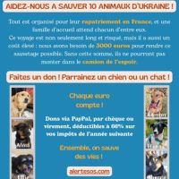 Besoins de dons merci pour eux