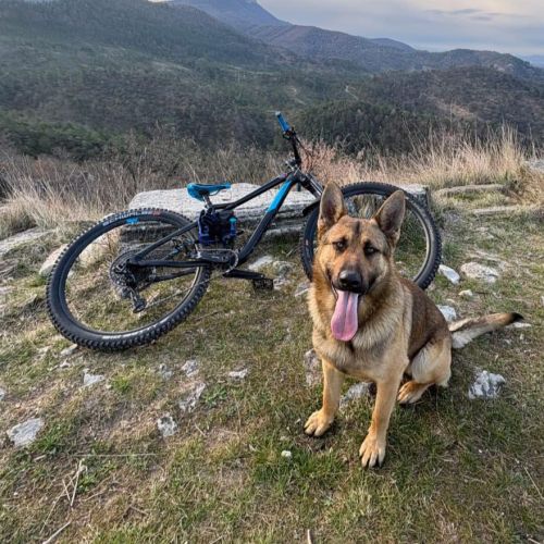 Venon, notre sportif #1