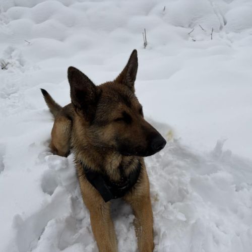 Venon, notre sportif #4