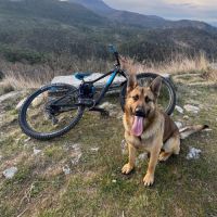 Venon, notre sportif #1