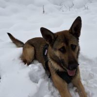 Venon, notre sportif #3