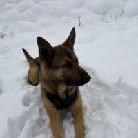 Venon, notre sportif #4