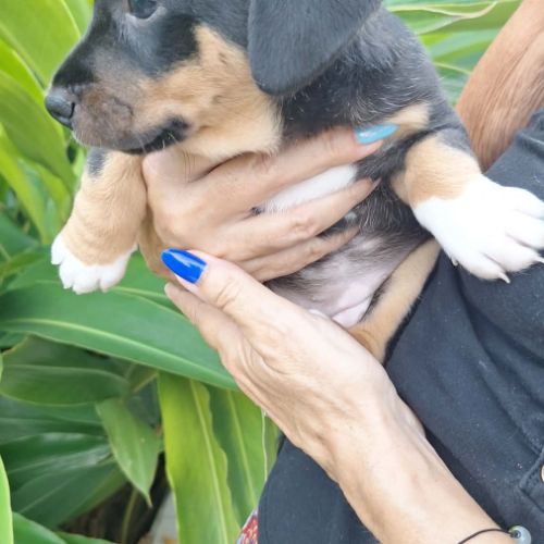 Kate petit coeur tendre #4