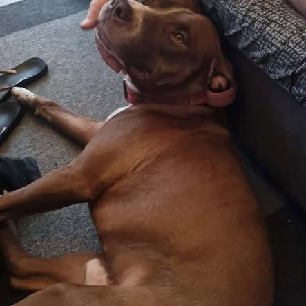 Tatum est un rayon de soleil #0