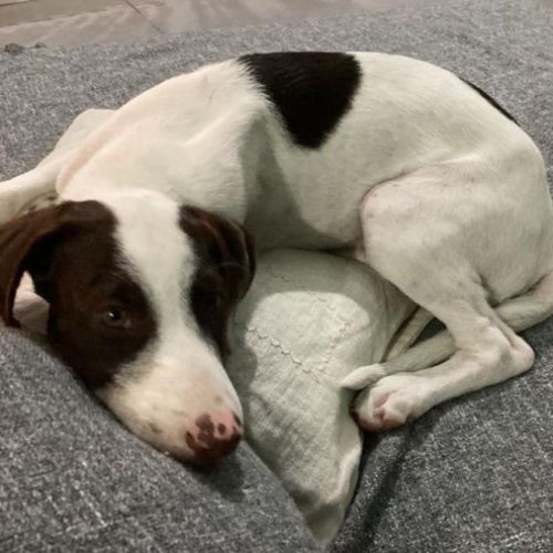 Lovely est tellement jolie #4