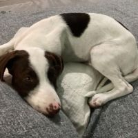 Lovely est tellement jolie #4