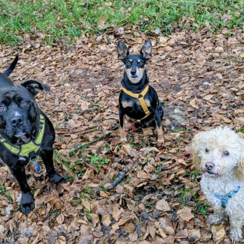 Paty, attend depuis trop longtemps #4