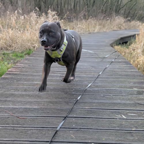 Paty, attend depuis trop longtemps #5