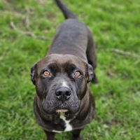 Paty, attend depuis trop longtemps #6