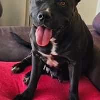 Paty, attend depuis trop longtemps #9