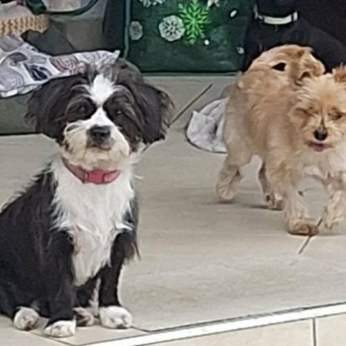 Nana la bouille a bisous