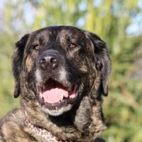 Pon, sublime matin espagnol, 2 an et demi #1