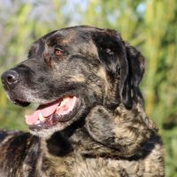 Pon, sublime matin espagnol, 2 an et demi #2