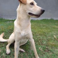 Budy le magnifique #8